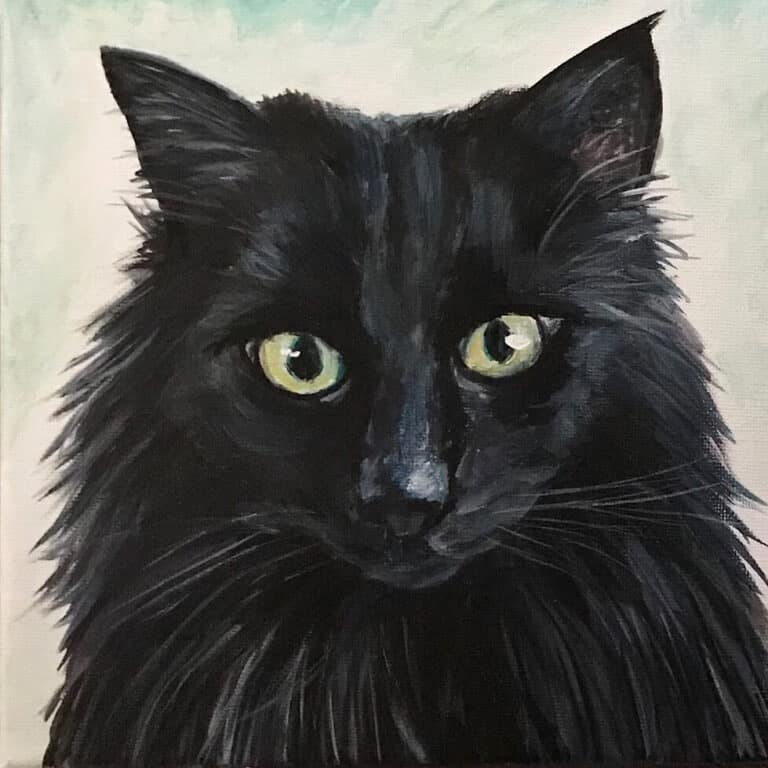Black Cat Pet Portrait Cat