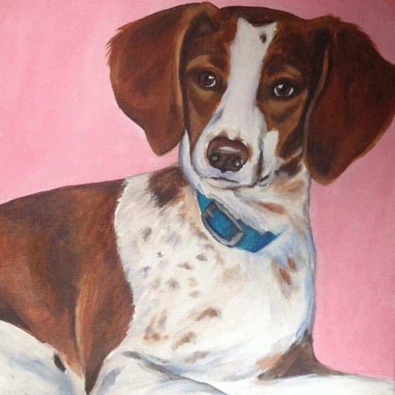 brittany_spaniel_pet_painting