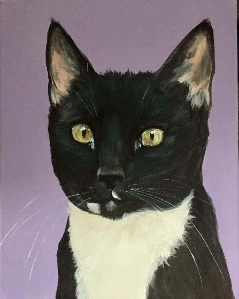 Buy custom cat painting
