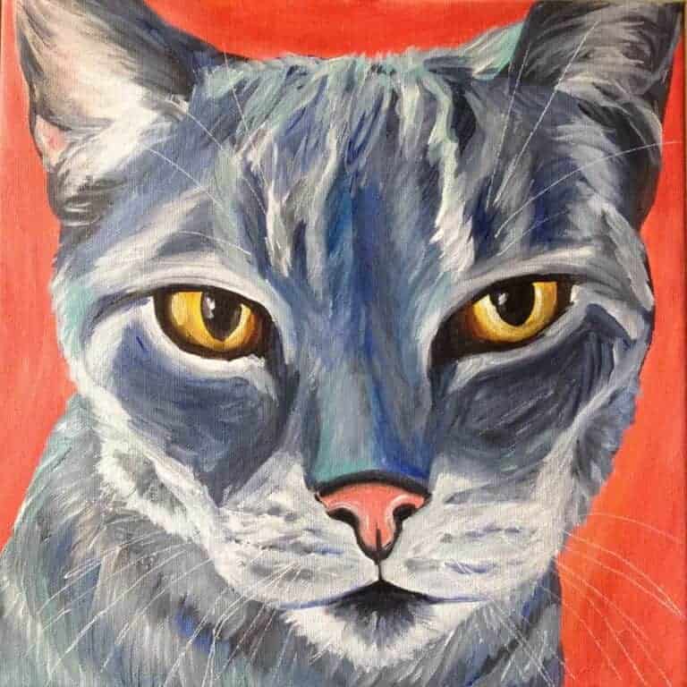 Painted pet portrait modern cat gray with orange background