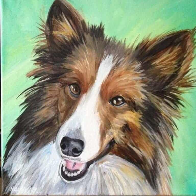 collie face pet_portrait painting