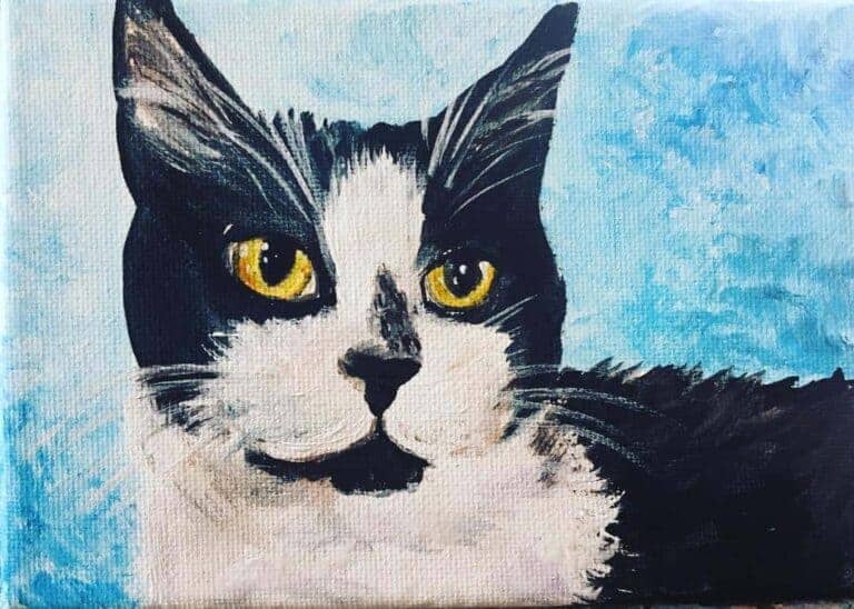 Black and white cat painted pets with blue background