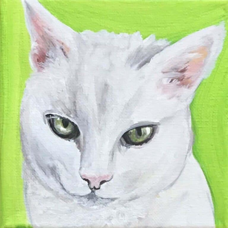 Per portrait custom of white cat